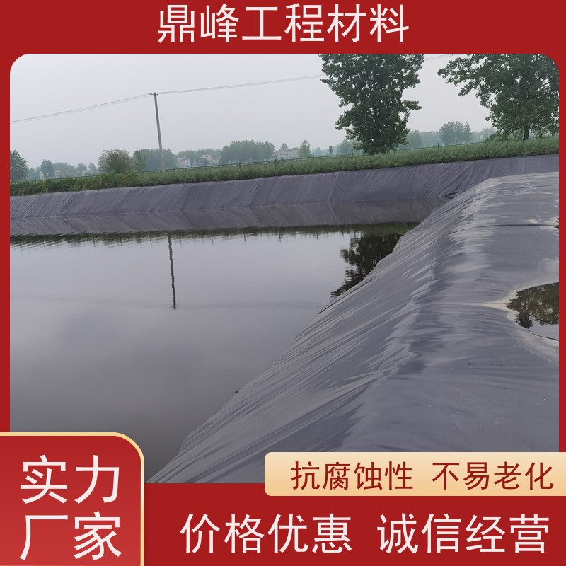 鼎峰 土工膜糙面 易于铺设 良好的柔韧性适应地形变化