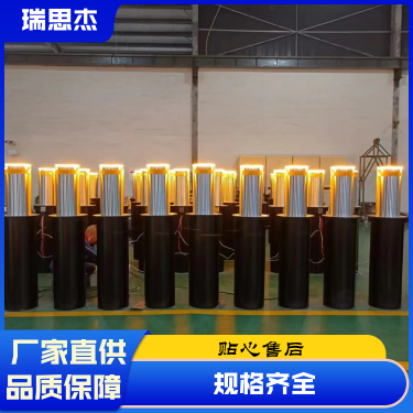 瑞思杰升降柱结实,产品介绍