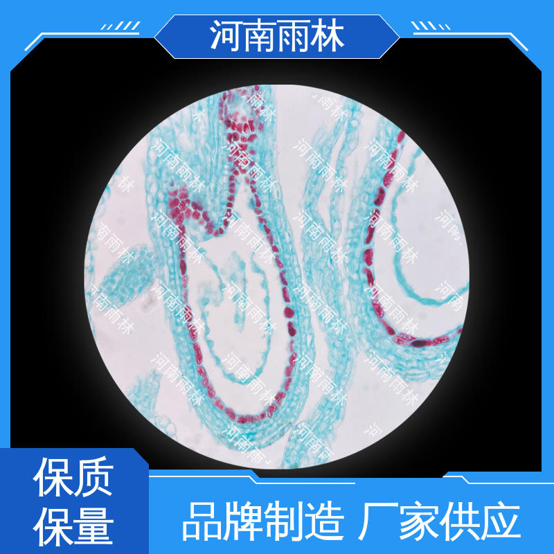 雨林教育工程 一对一质检 病害标本 可提供材料 专业