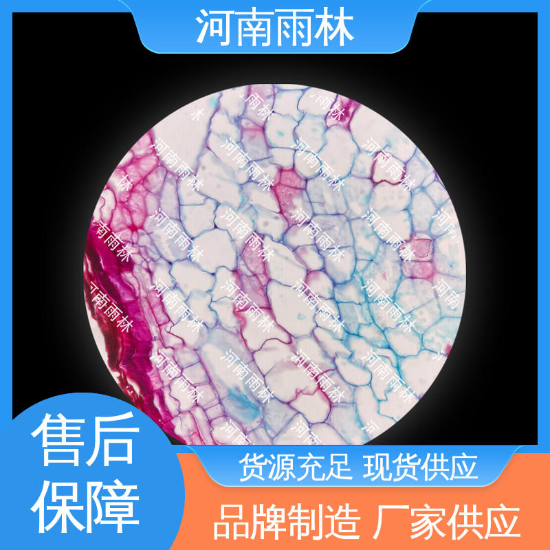 可提供材料 一对一质检 教学切片 雨林教育工程