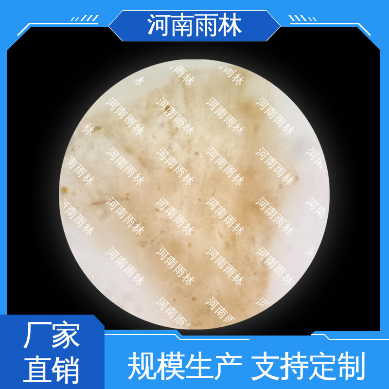 雨林教育 一对一质检 售后无忧 显微标本 个性化定做
