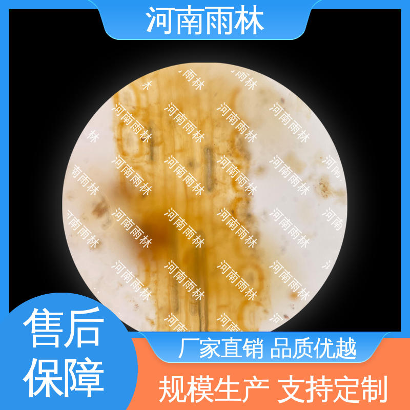 雨林教育 显微标本 厂家销售 可后期加工 品质优良