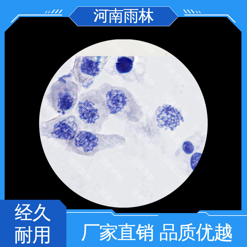 雨林教育 售后无忧 显微标本 厂家销售 切片安全