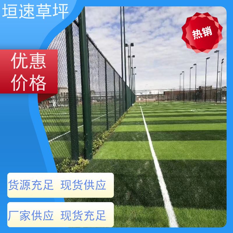 垣速 室外塑料草坪 曲棍球场草坪支持定制 门球场地设施 塑料草坪景观