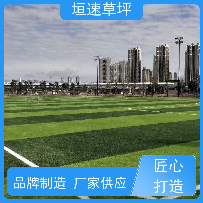 垣速 足球场施工供应商 绿化假草皮 网球场草坪回弹率好 绿化仿真草皮