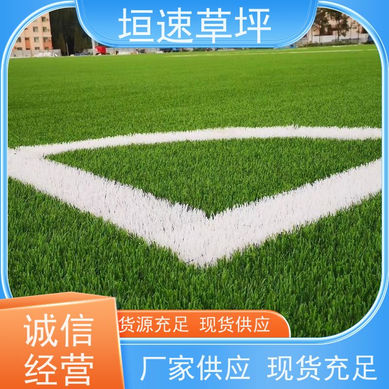 垣速 网球场草坪回弹率好 保温假草坪 建造门球场供应商 绿化假草皮