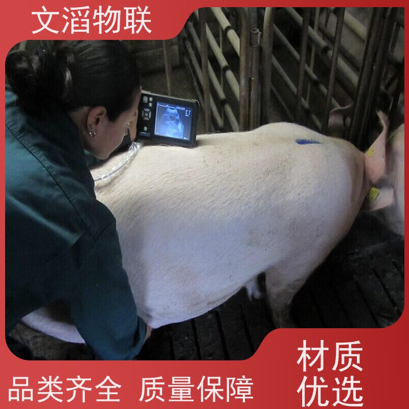 文滔物联 高新科技 繁育牛TMR全日式混合机监控系统 源头工厂 有保障 