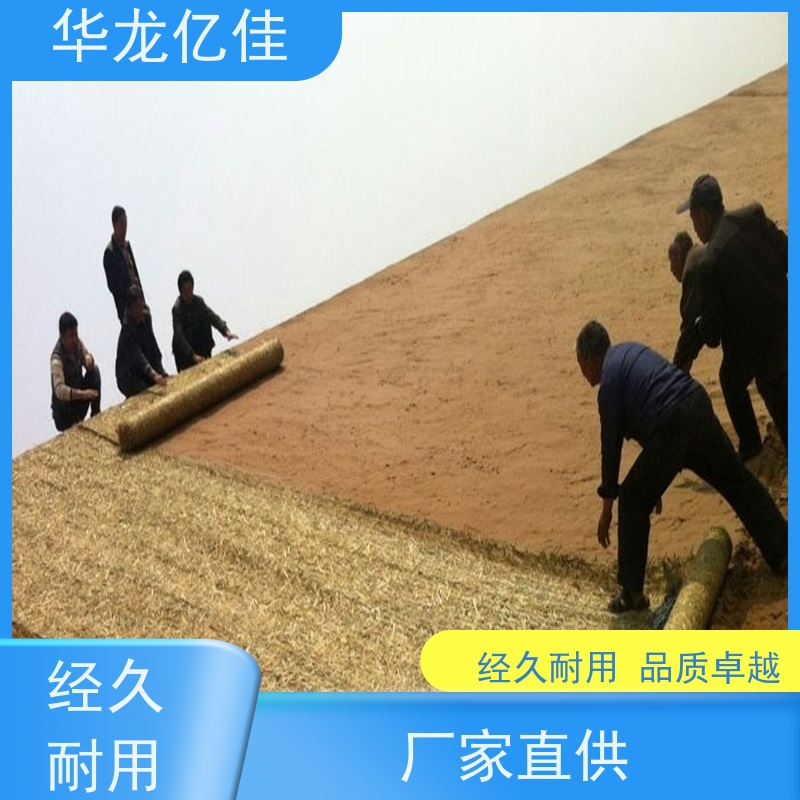 国标 河坡草毯 生态修复矿山绿化护坡 按需定制