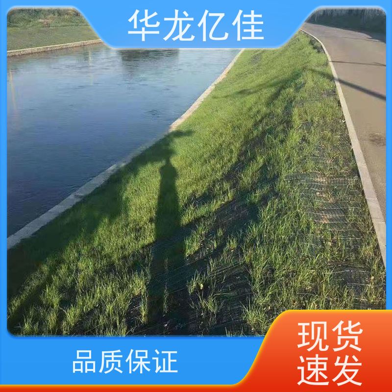 全新 植物纤维毯 生态修复矿山绿化护坡 颜色金黄色 耐腐蚀