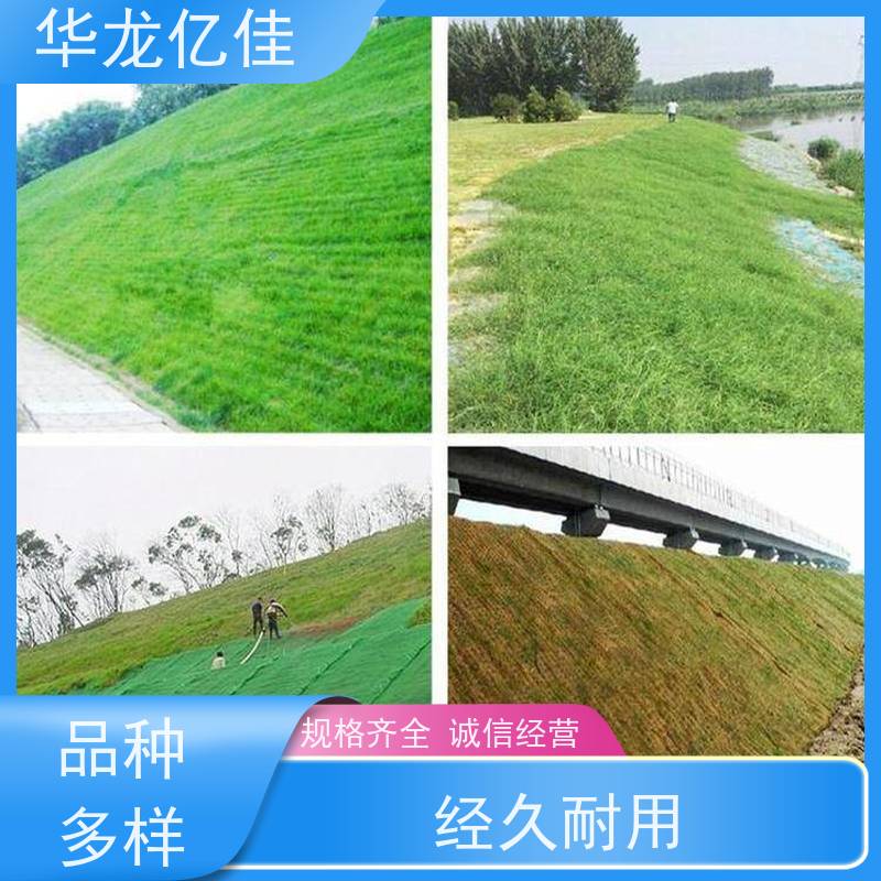 特价 河坡草毯 生态修复矿山绿化护坡 华龙亿佳供应
