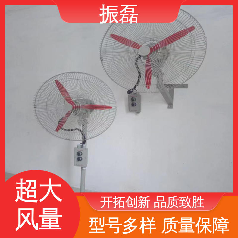 振磊 FB-600 BSFT防爆轴流风机 落地式立式电风扇 工业排风设备