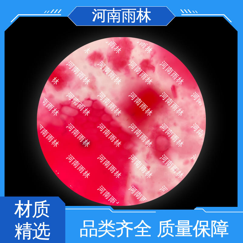 雨林教育工程 可提供材料 实验标本 一对一质检