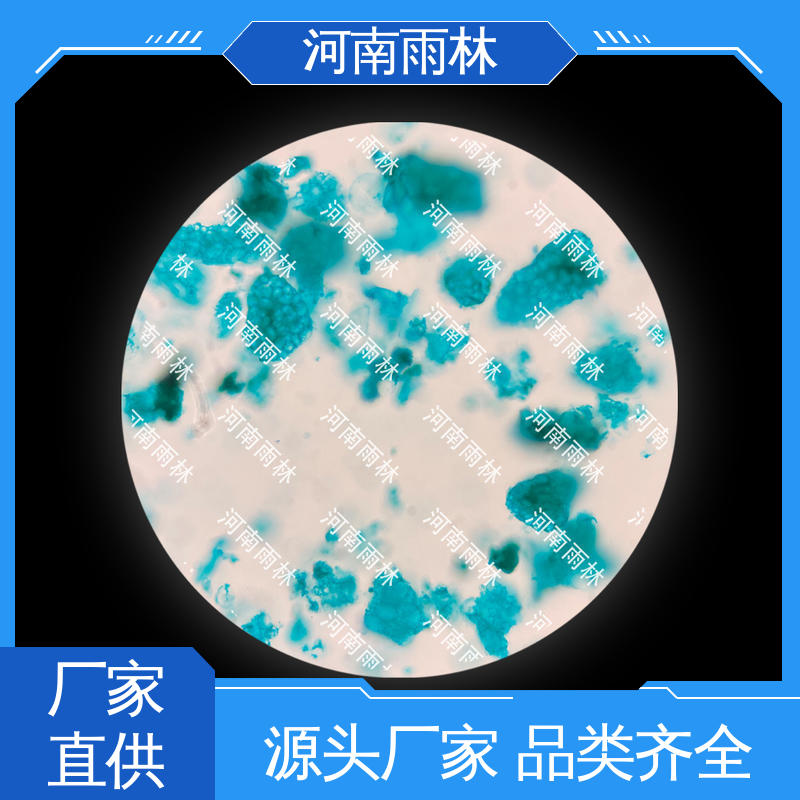 雨林教育工程 植物切片 品质优良 质量优 个性化定做