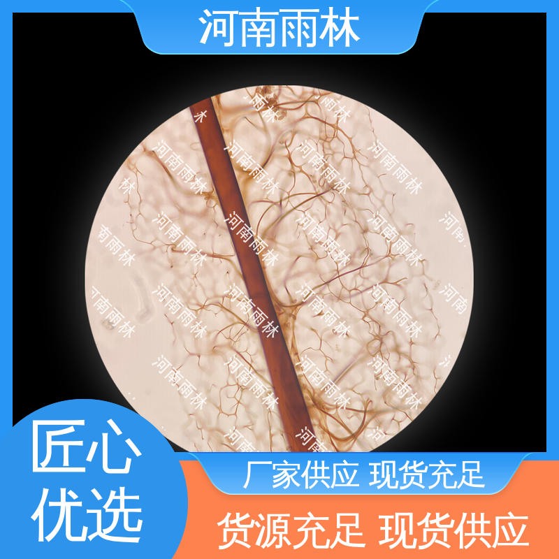 个性化定做 可提供材料 一对一质检 生物切片 雨林教育工程