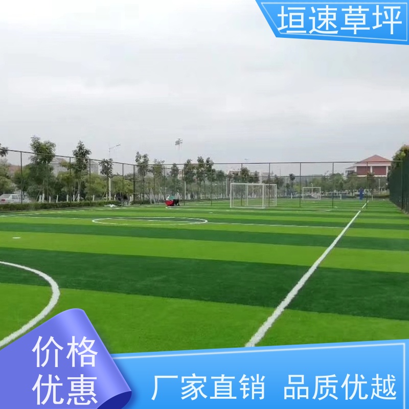 垣速 羽毛球场草坪环保耐磨 门球场地设施 室外塑料草坪 景观假草皮