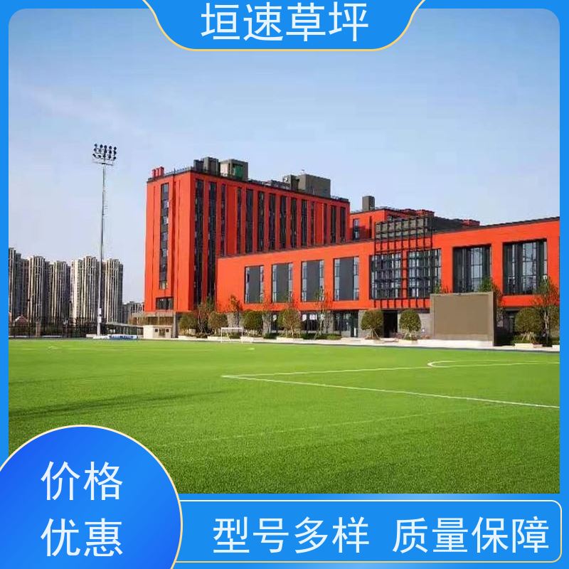 垣速 屋顶人造草坪 门球场地设施 加密人造草坪 人造球场草坪弹性防滑