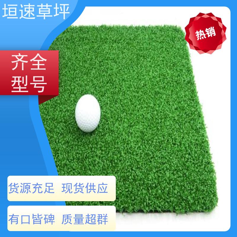 垣速 门球场塑料草皮回弹率好 保温假草坪 门球场地设施 人工草坪绿化