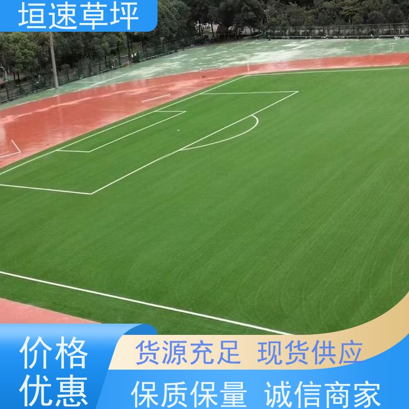 垣速 屋面绿化草坪 门球场地设施 塑料仿真草坪 足球场假草皮弹性防滑