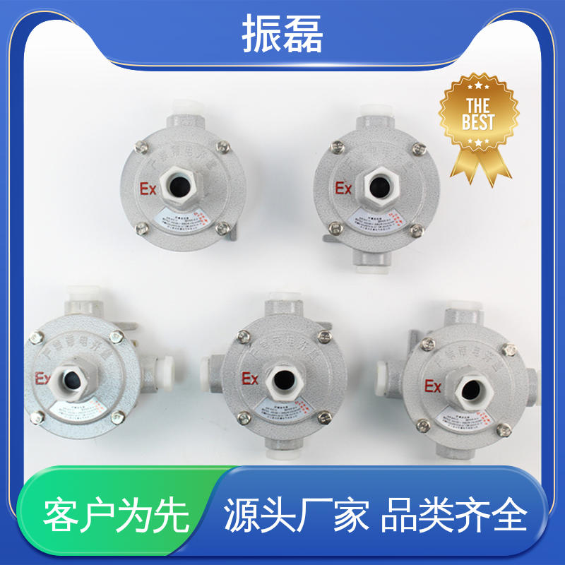 直平三通防水防尘穿 不锈钢防爆接线盒 BHC AC 防腐等级WF2 振磊