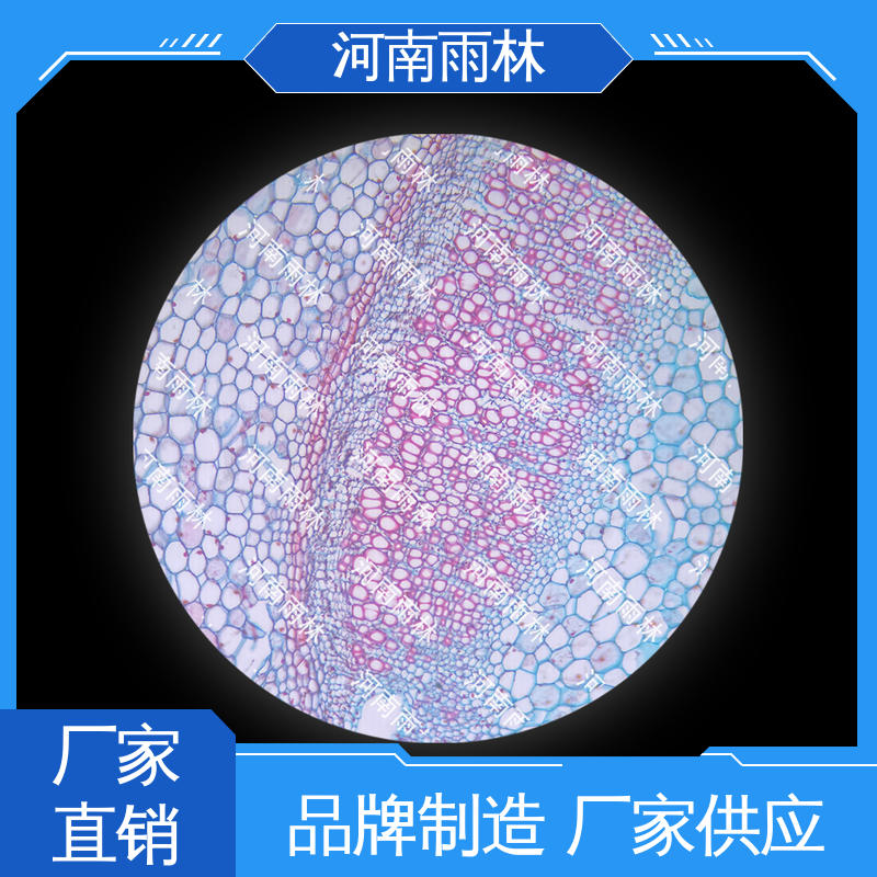 雨林教育工程 可后期加工 一对一质检 实验标本