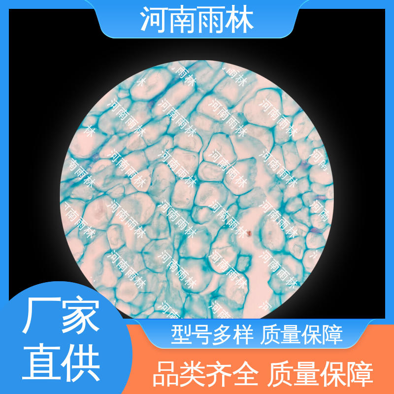雨林 可提供材料 病害标本 切片安全 个性化定做
