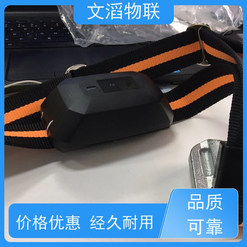 文滔物联 马B超 多功能畜牧宠物定位计步器 厂家 