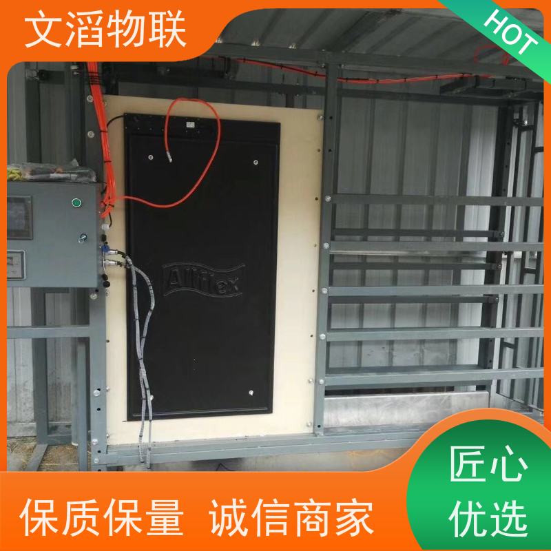 活牛自动称重系统 大型肉牛称重设备 肥牛屠宰加工流水线全套设备