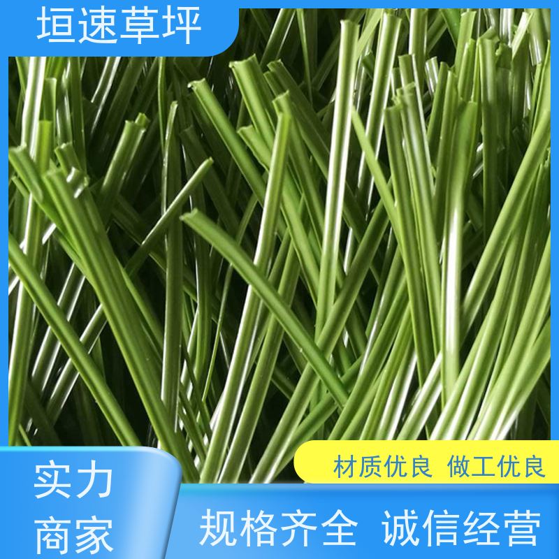 垣速 足球场用什么草坪 绿化假草皮 人造草网球场色彩丰富 保温假草坪