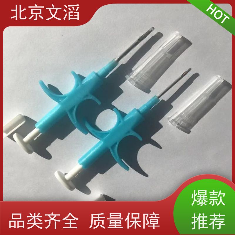进口设特兰矮马带芯片证书宠物小马 儿童骑乘马景区观赏乖巧可爱