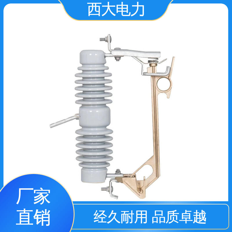 外形美观 做工细致 HFG-40.5/630A 防风型熔断器 西大电力