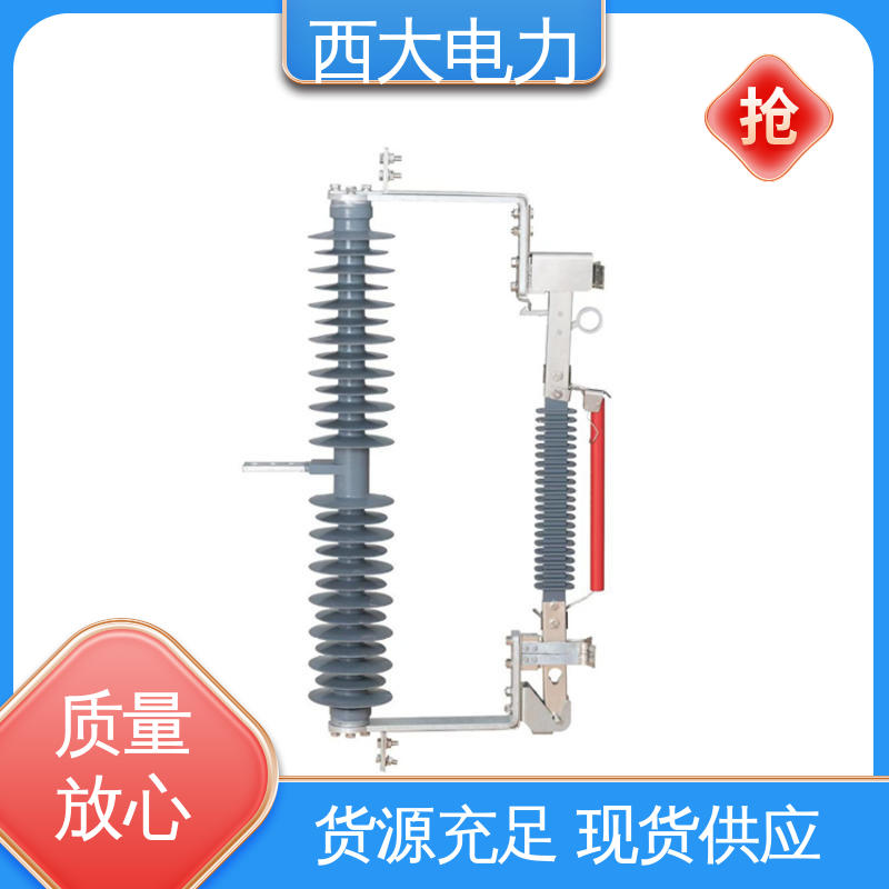 支持根据图纸定做 防风型熔断器 HFG-40.5/630A 西大电力