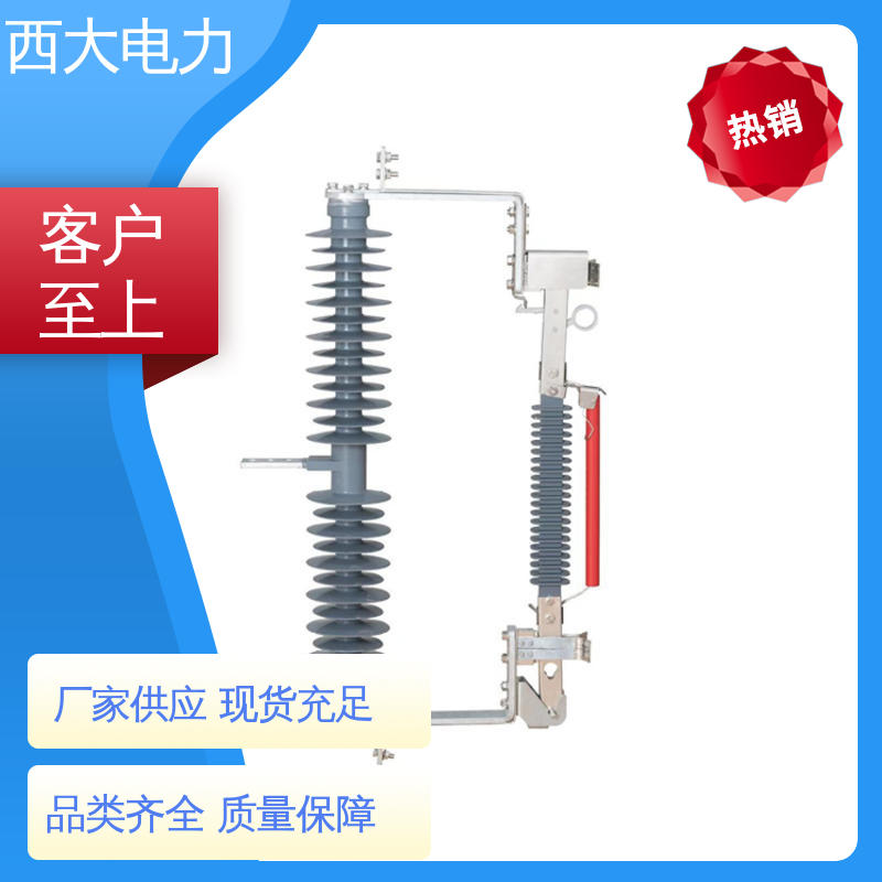  型号和资质齐全 防风型熔断器隔离开关组合电器 西大电力