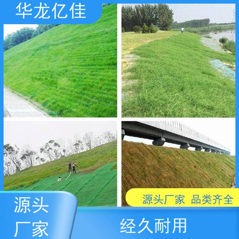 销售 河坡草毯 荒漠治理植被固土 华龙亿佳供应