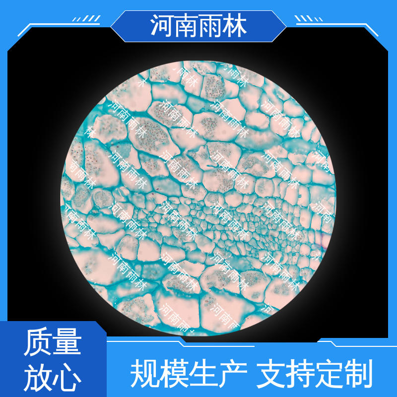 品质优良 个性化定做 售后无忧 植物切片 雨林教育工程