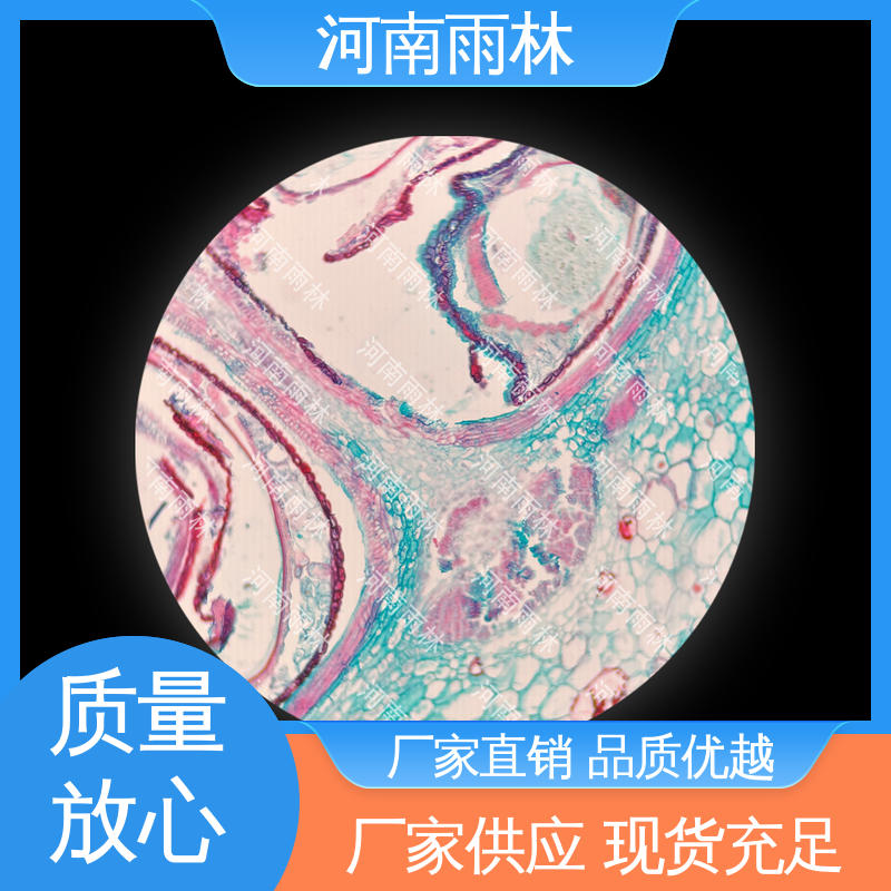 可定制 显微标本 切片安全 源头工厂 雨林教育工程