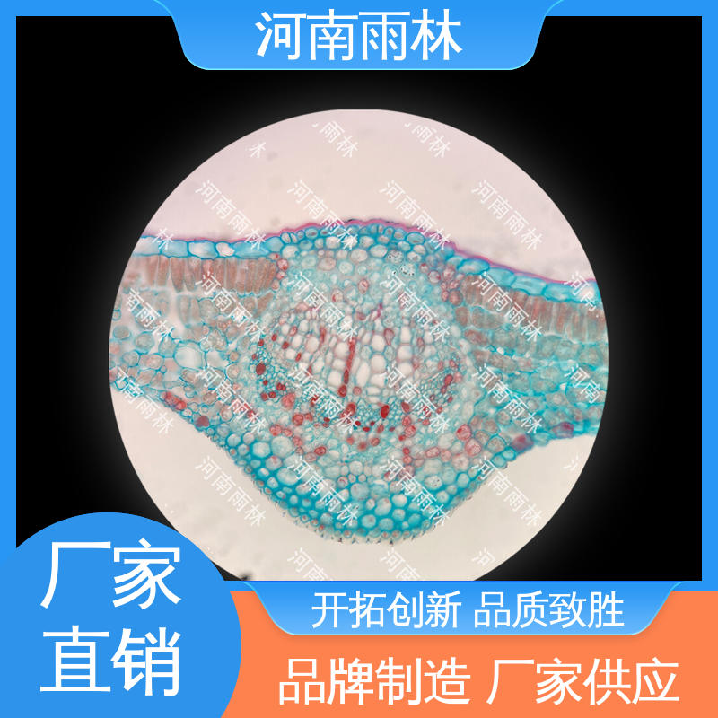 雨林教育工程 售后无忧 显微切片 支持定制 品质优良