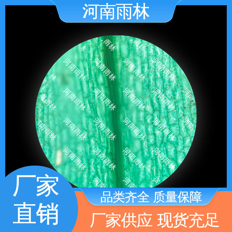 颜色鲜亮 生物切片 可后期加工 源头工厂 雨林教育工程