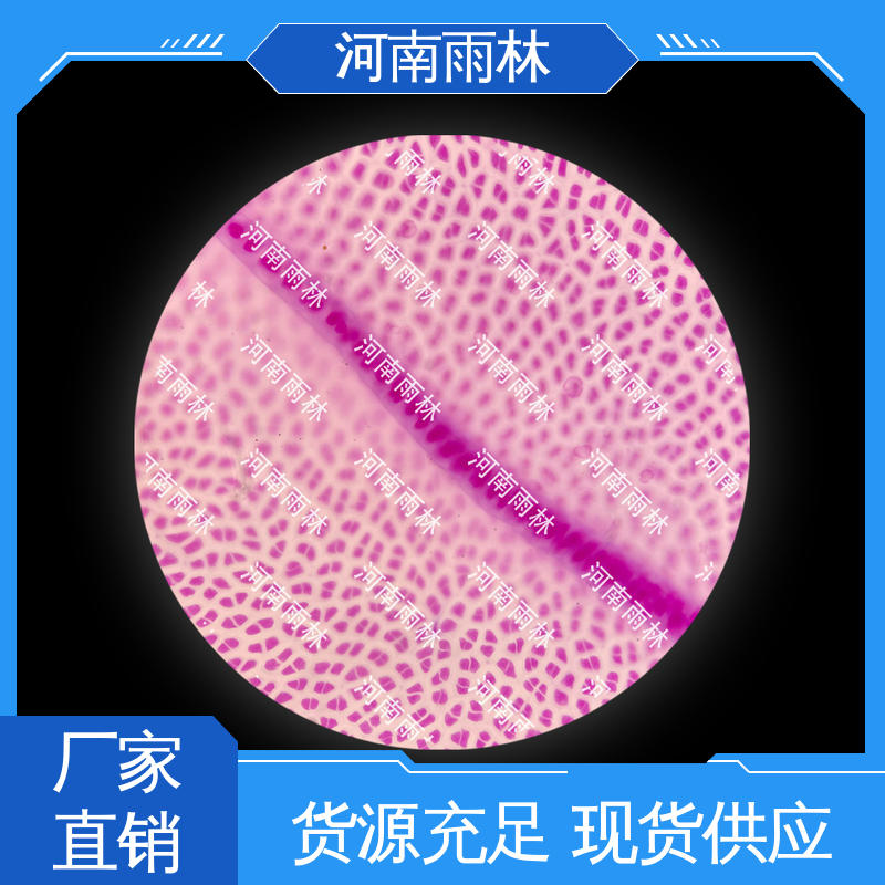 雨林教育工程 可后期加工 专业 颜色鲜亮 教学切片