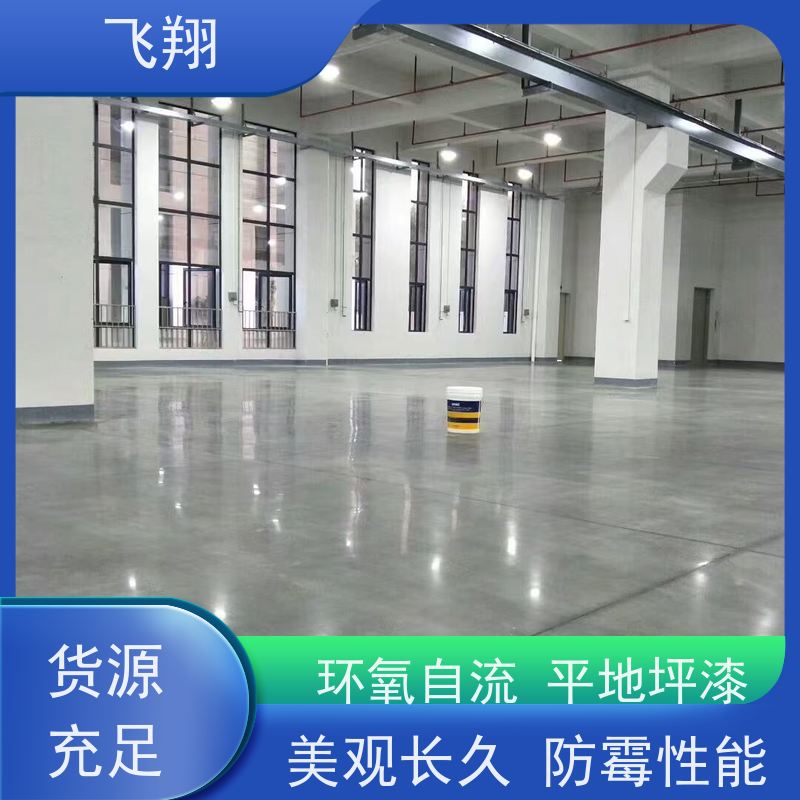 肇庆环氧自流平地坪漆 防水耐磨固化 耐强酸碱 品质可信