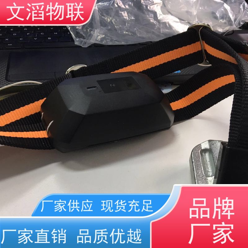 文滔物联 羊B超 牛羊马驴发情监测GPS定位计步器 生产厂家 