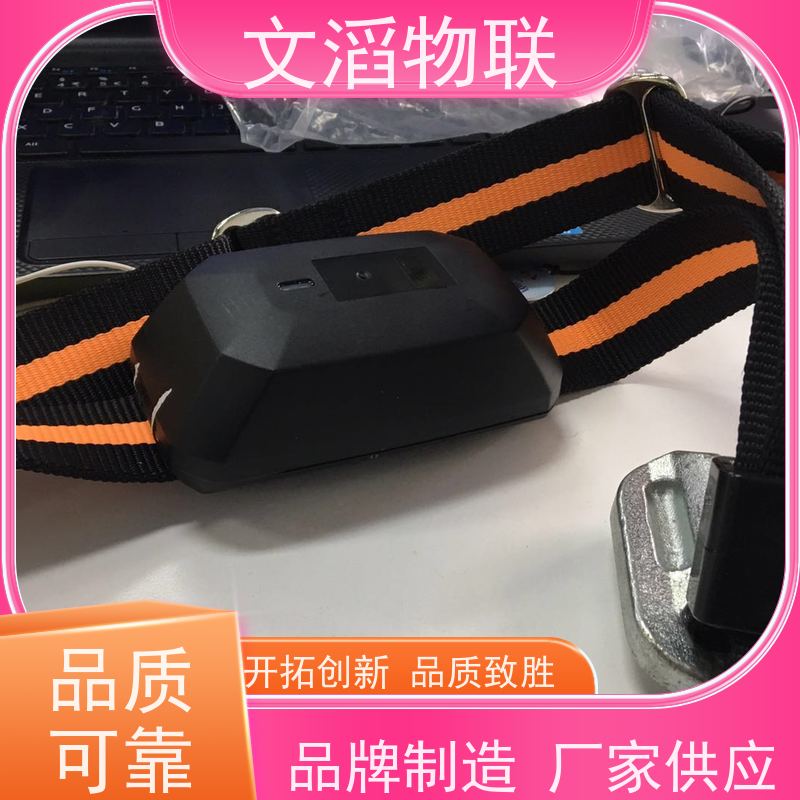 文滔物联 羊B超 宠物发情监测GPS定位计步器 批发 