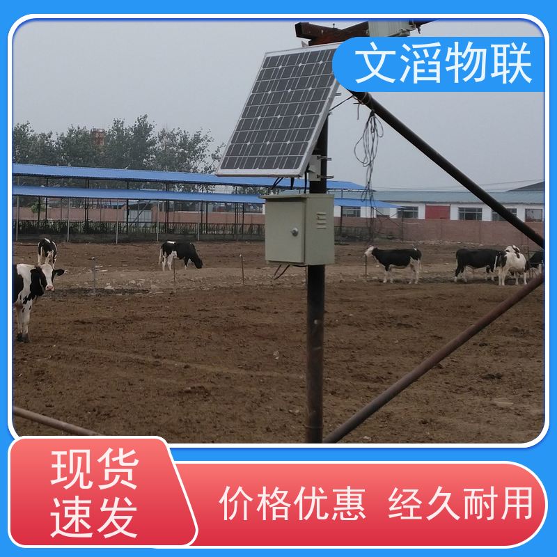 文滔物联 马B超 动物发情监测GPS定位计步器 供应 