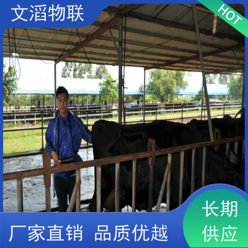 文滔物联 先进技术 奶牛TMR饲喂监控系统 生成厂家 支持定制 