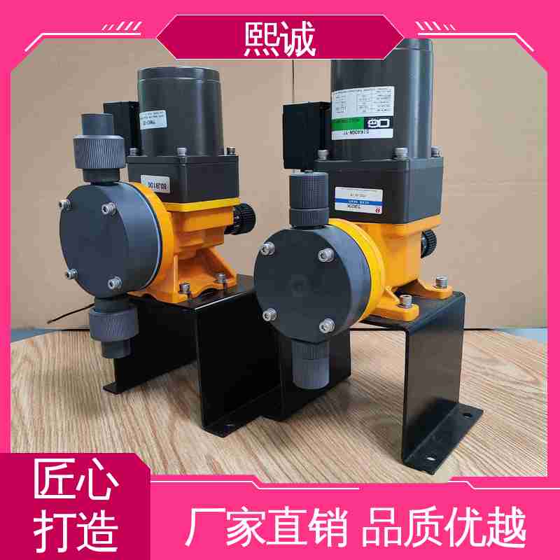 熙诚 xc-wg-008 耐酸碱计量泵 废水处理全自动加药系统 PH在线监测