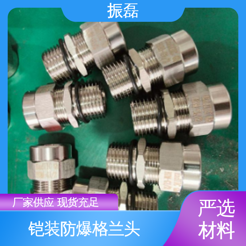 振磊 密封性好 DN15填料函6分1寸 BDM 防爆格兰头