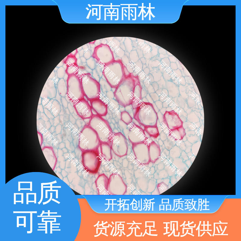 雨林教育工程 支持定制 一对一质检 生物切片 售后无忧