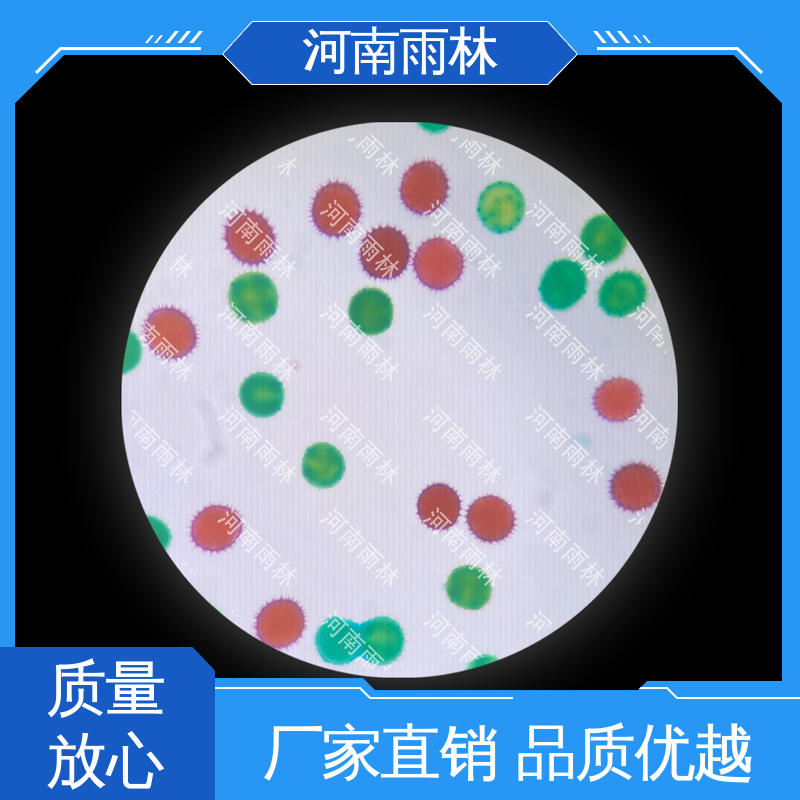 雨林教育工程 切片安全 可提供材料 支持定制 植物标本