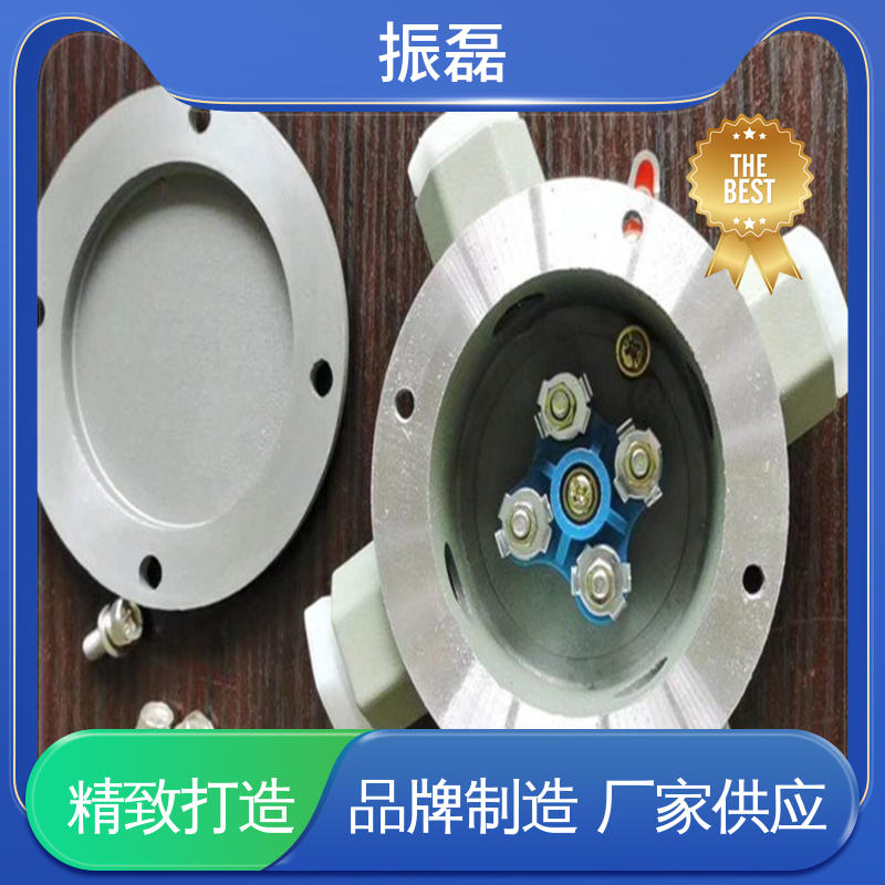 振磊 BAH系列 吊盖通 管螺纹可定制 铸铝防爆接线箱盒