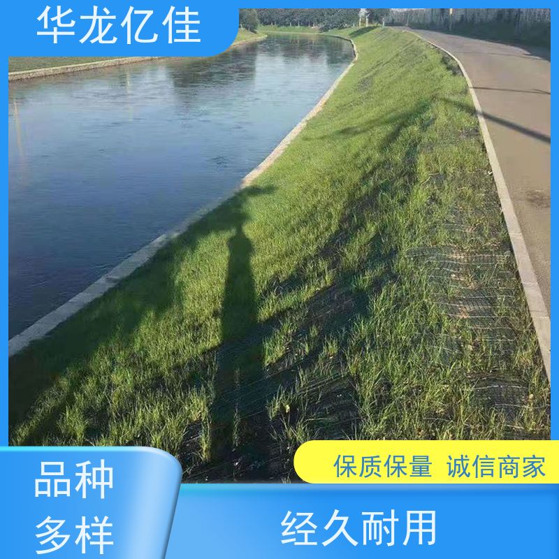 全新 公路边坡防护毯 规格多样 矿山修复 施工简单