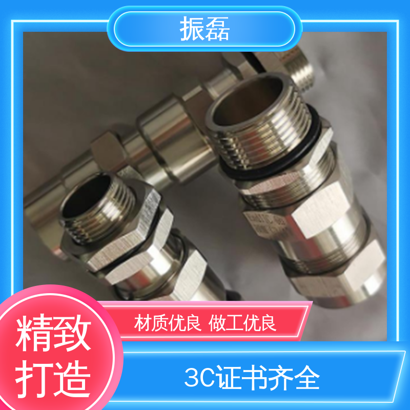振磊 4分对丝管箍 NPT1固定电缆锁头 BHJ 铠装防爆格兰头